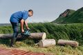 Миниатюра для версии от 23:11, 16 ноября 2021